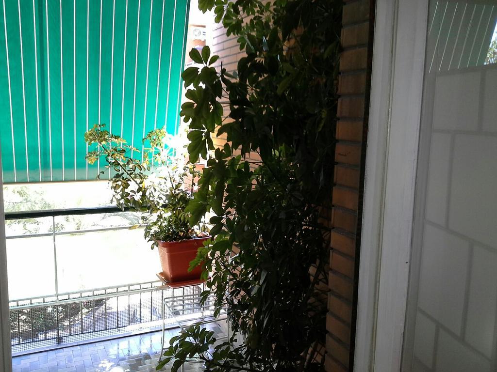 Olimpica Relais Guest House Roma Ngoại thất bức ảnh